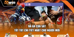 Đá Gà Cựa Sắt - Tất Tật Chi Tiết Nhất Cho Người Mới